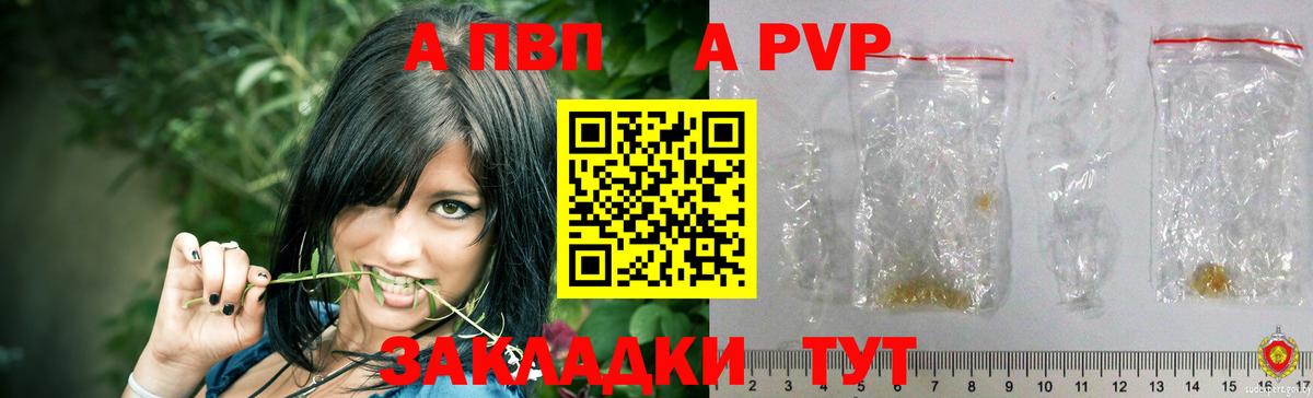 Alfa_PVP крисы CK  Вход с VPN  Alfa_PVP крисы CK  A PVP  Гусев 