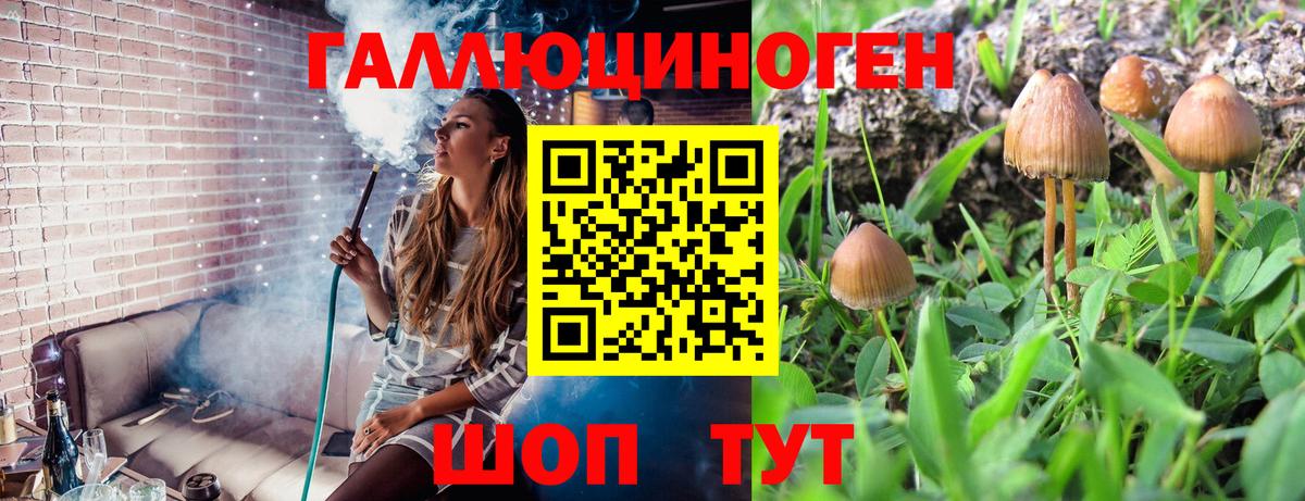 Гусев  Галлюциногенные грибы ЛСД  Вход с VPN 